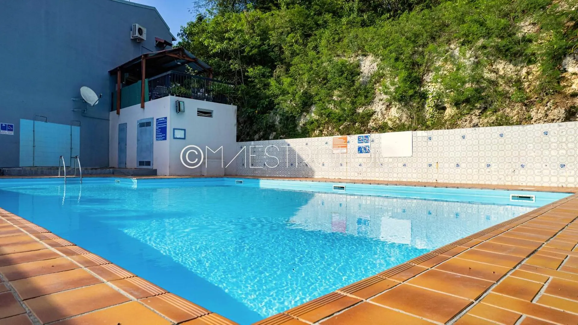 Apartment Studio Fleur D'Epee Le Gosier  Guadeloupe
