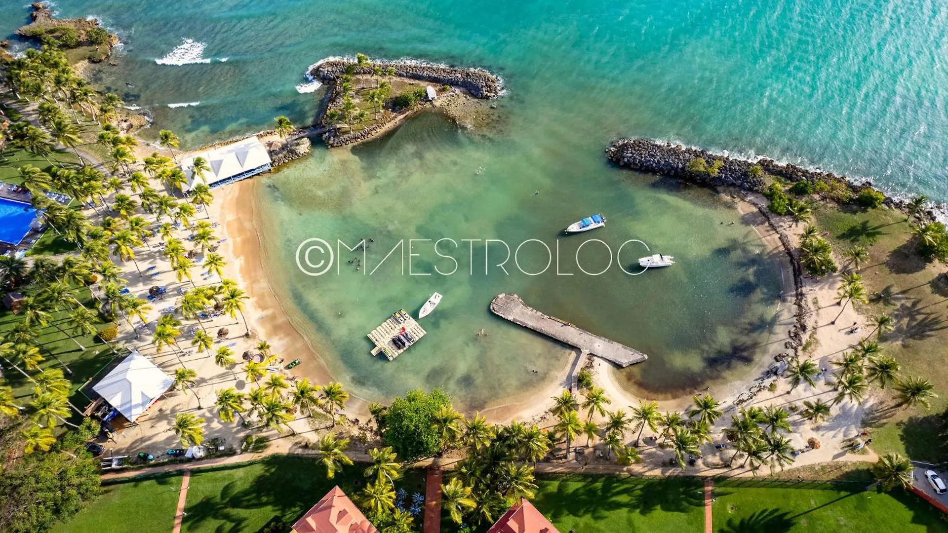 Apartment Studio Fleur D'Epee Le Gosier  Guadeloupe